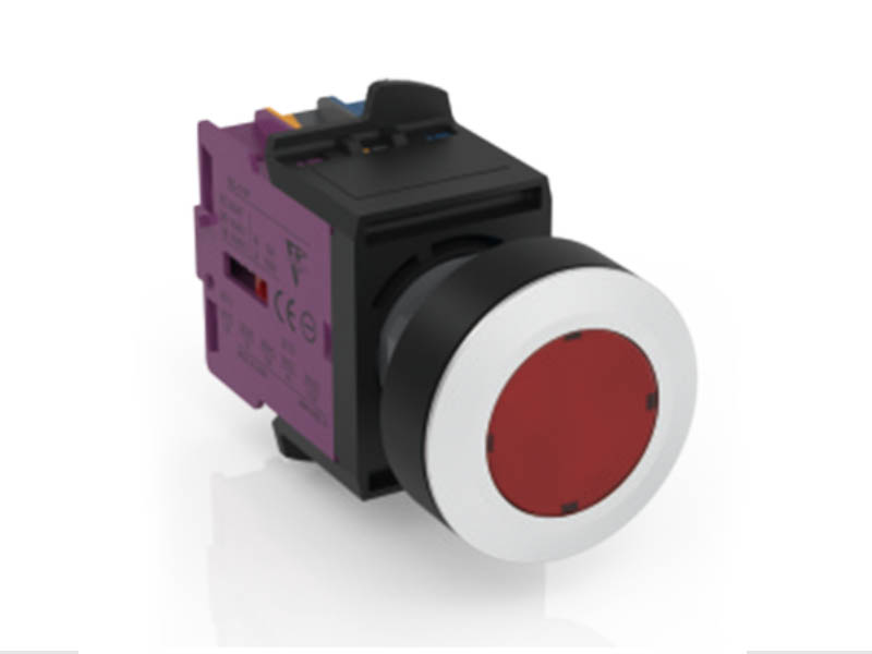 Push Button SD30-2120